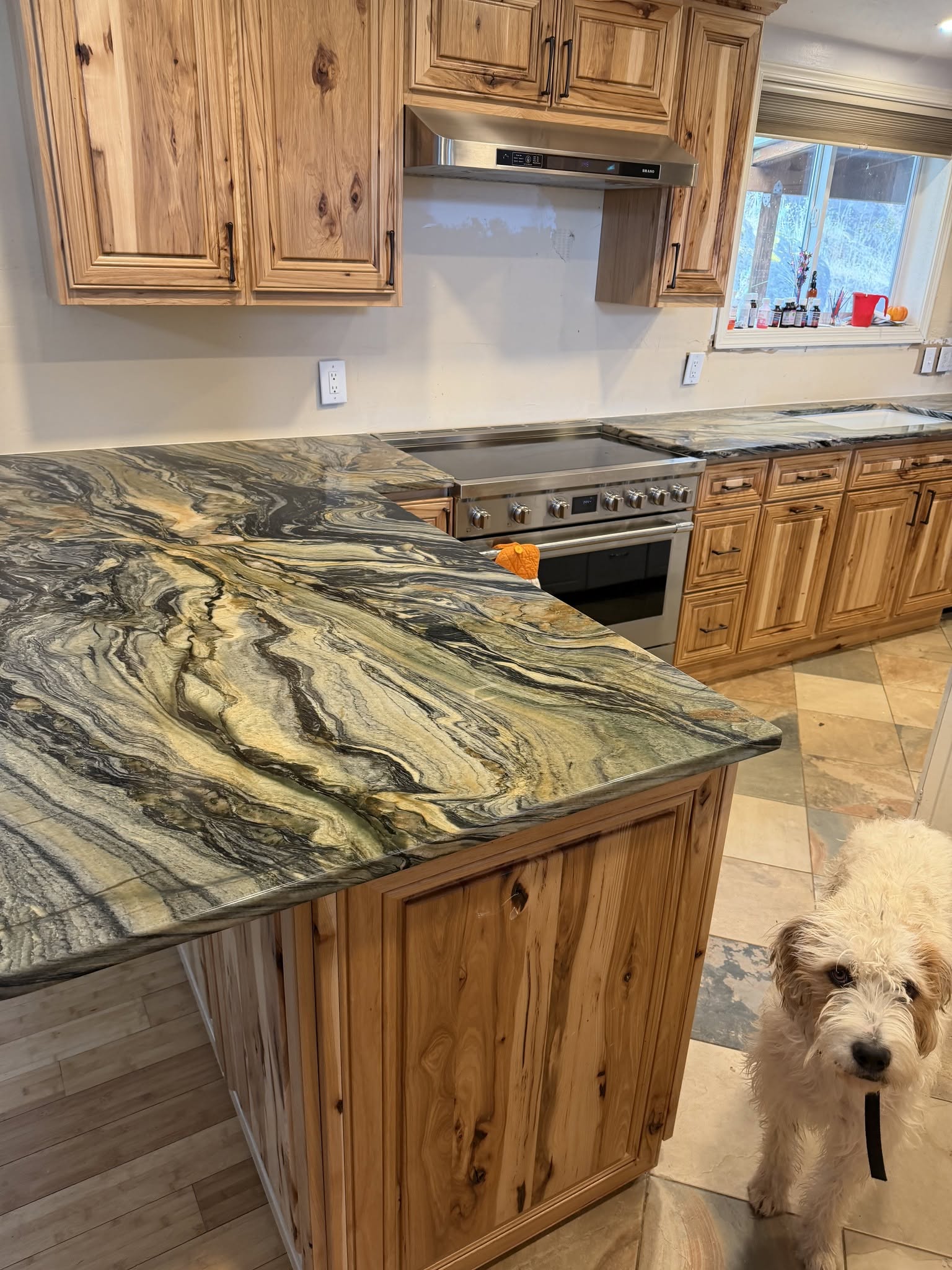 Kitchens photo